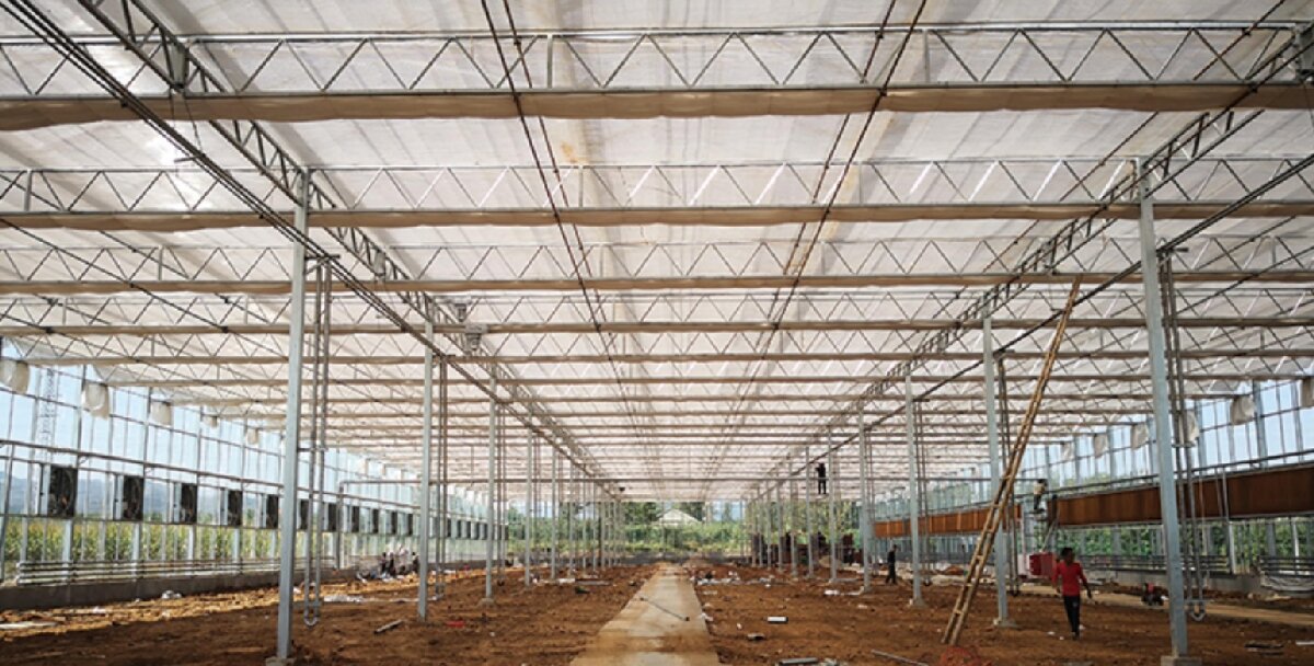 信橋鋼構(gòu)：打卡蒙陰農(nóng)業(yè)溫室大棚、青州黑牛養(yǎng)殖基地！(圖3)