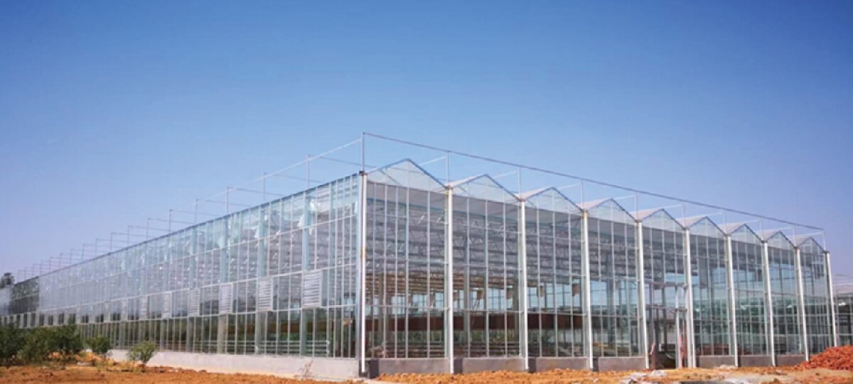 信橋鋼構(gòu)：打卡蒙陰農(nóng)業(yè)溫室大棚、青州黑牛養(yǎng)殖基地！(圖2)